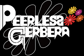 Peerless Gerbera